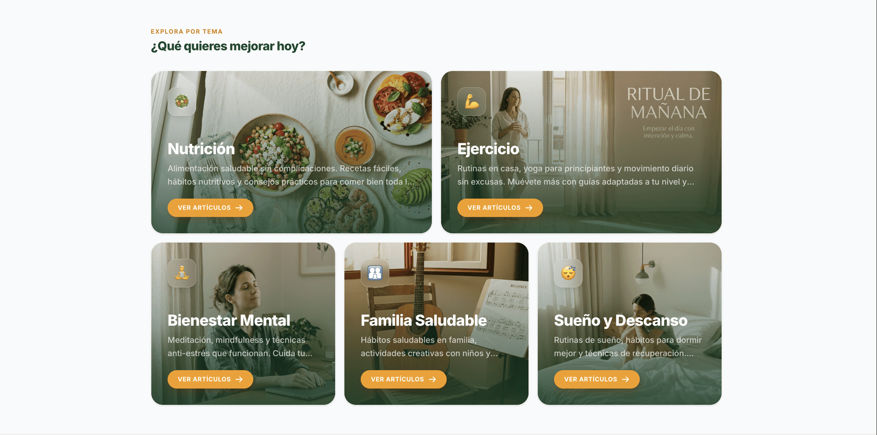 ViveSaludable — las secciones de la web